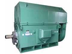南沙Y系列6KV高压电机